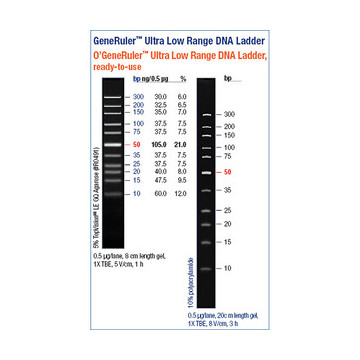 GeneRuler DNA ladderThermo Scientific 100 bp DNA Ladder