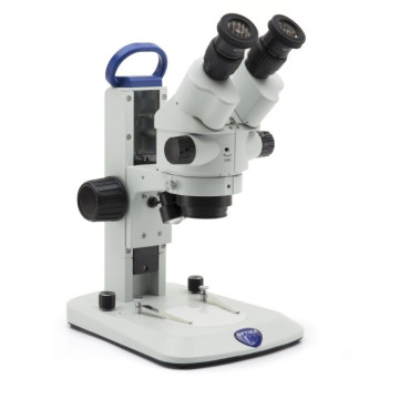 Stereomicroscopio binoculare