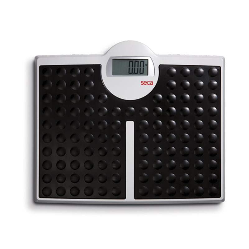 Bilancia Digitale Piatta Seca 813 - 1 Pz. Bilancia Digitale Piatta Seca 813 - 1 Pz.