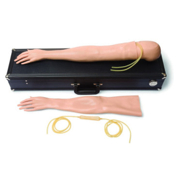 Kit braccio per addestramento IV Multi-Venous femminile