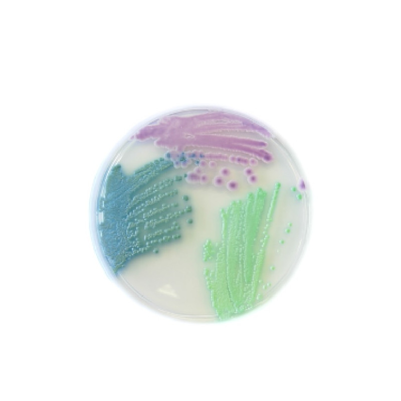 Chromatic Candida confezione da 20 piastre da 90 mm Chromatic Candida confezione da 20 piastre da 90 mm