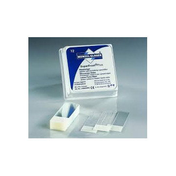 Vetrini Superfrost Plus con carica positiva banda bianca 25x75mm IVD Menzel - CF.72