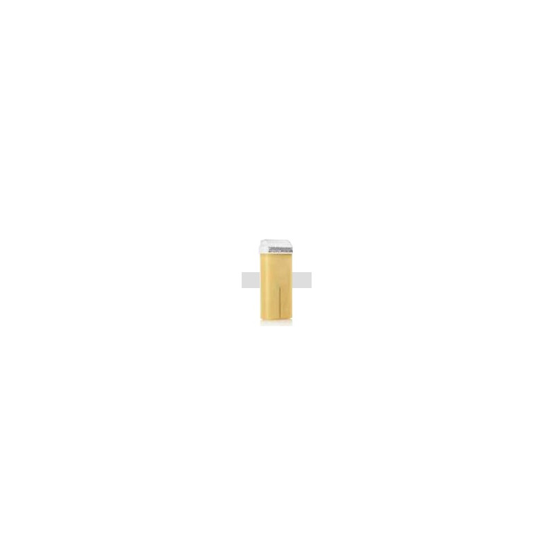 Cera Depilatoria Roll-on LITZEA - 100 ml Liposolubile Cera Depilatoria Roll-on LITZEA - 100 ml Liposolubile
