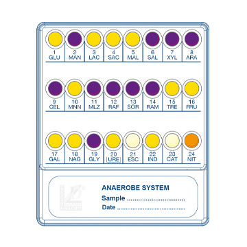 Anaerobe System Sistema per...