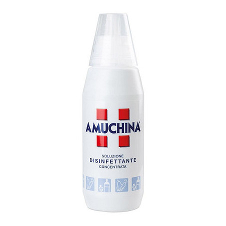 Amuchina soluzione disinfettante concentrata 1 litro