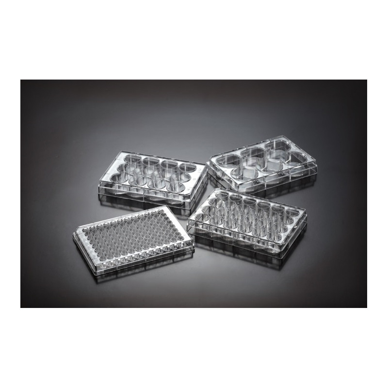 Piastre a 96 pozzetti - fondo piatto - 0,33 cm2 - 0,075-0,20 mL/pozz. 100 pz Piastre a 96 pozzetti - fondo piatto - 0,33 cm2 - 0,075-0,20 mL/pozz. 100 pz