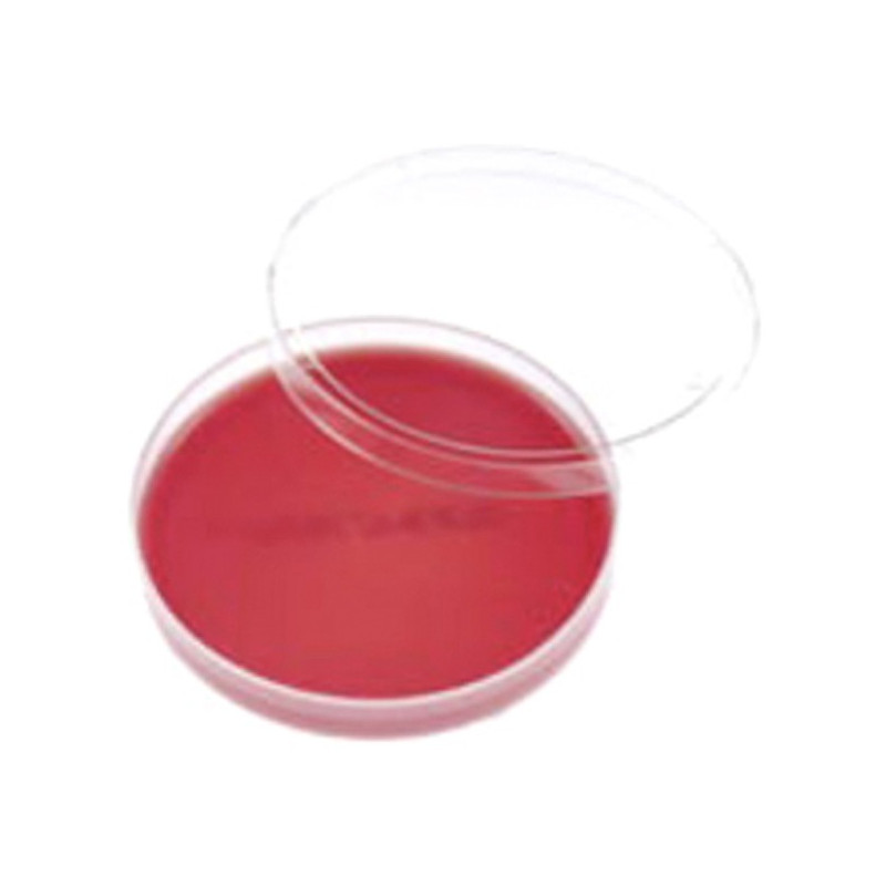 Campylobacter agar CF/20
