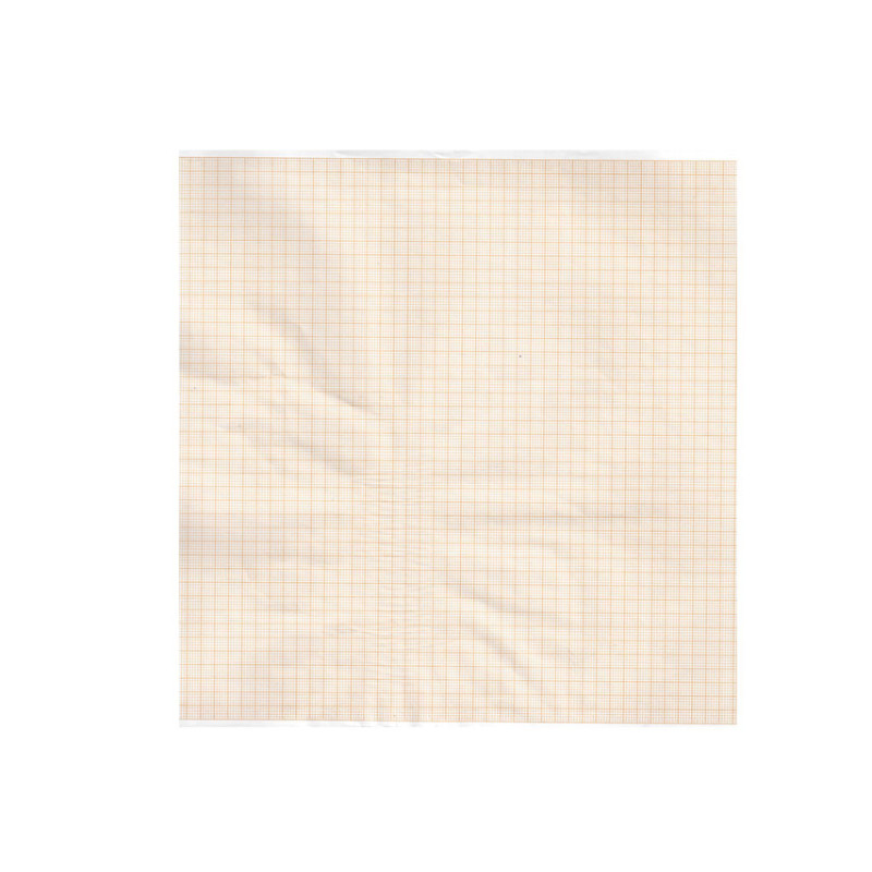 Carta Termica ECG - Compatibile Gima - Bionet - Carewell - griglia arancione - 215 mm x 25 m - Conf.5 rotoli Carta Termica ECG - Compatibile Gima - Bionet - Carewell - griglia arancione - 215 mm x 25 m - Conf.5 rotoli