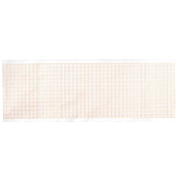 Carta termica ECG 80x20 mm x m - rotolo - Conf.10 pz.