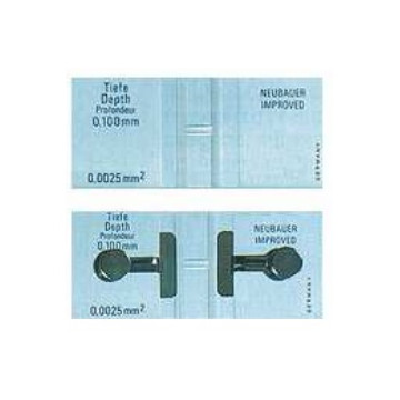 Camera di Neubauer...