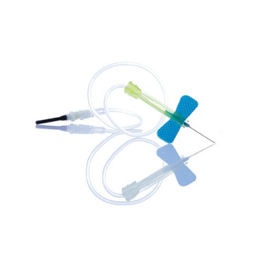 Aghi a Farfalla di...