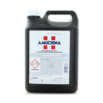 Amuchina 100% - Soluzione Disinfettante concentrata - 5 litri