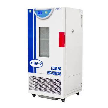Incubatore refrigerato IC 150 R PLUS