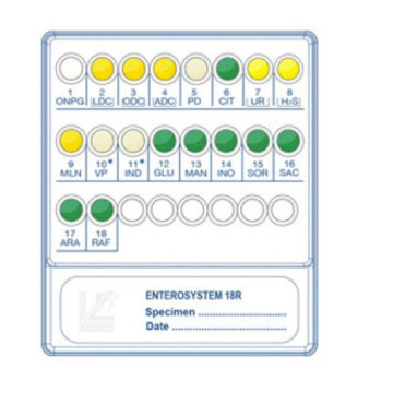 Identificazione biochimica di Enterobatteri Gram-negativi ossidasi-negativi Enterosystem 18R 20 test