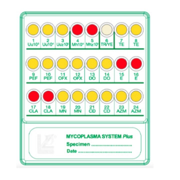 Sistema per ricerca conta e antibiogramma dei micoplasmi urogenitali Mycoplasma System plus 20 test