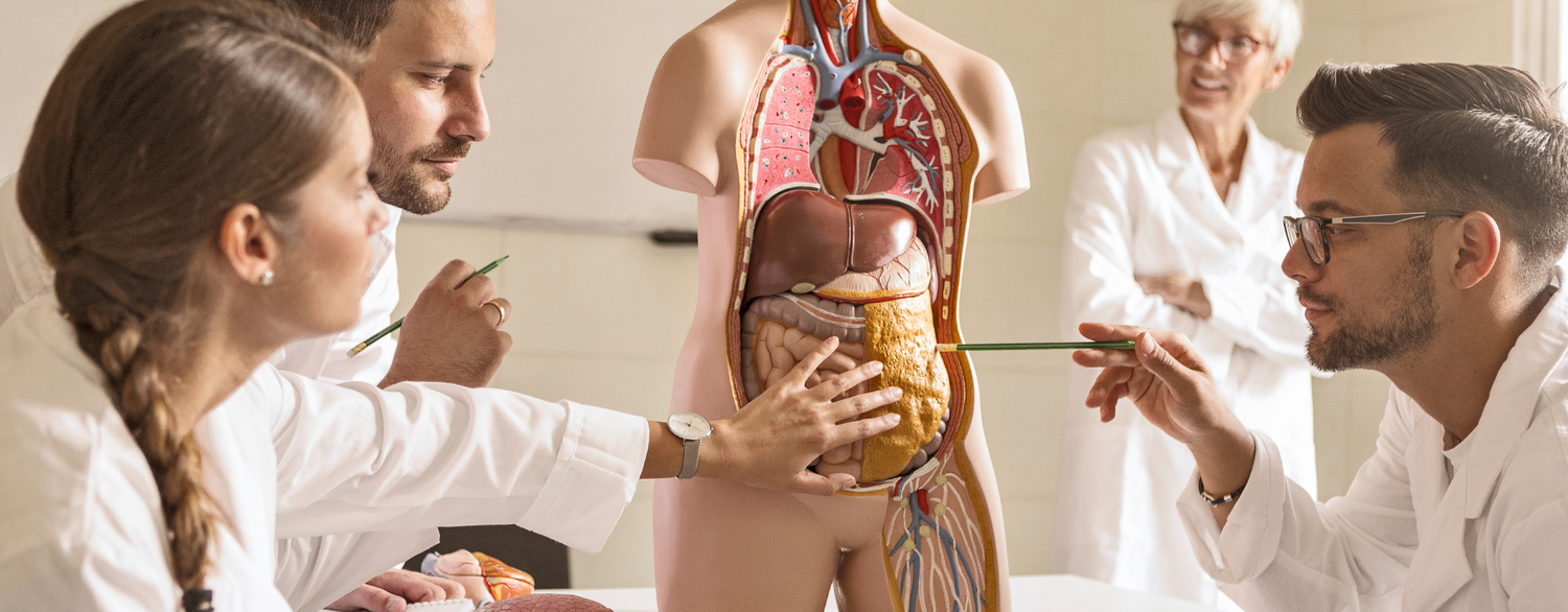 Educazione Medica: Strumenti e Attrezzature per la Formazione