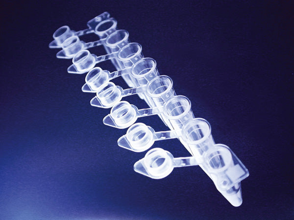 Strip da 8 microtubi forma alta con tappo a cupola colore naturale CF/120