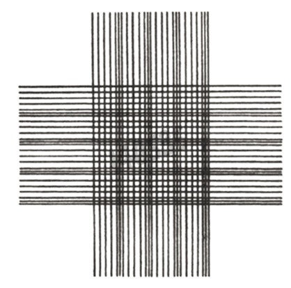 Thoma-Zählkammer