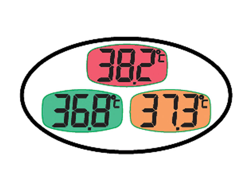 Digital Thermometer BL3 Large Display °C