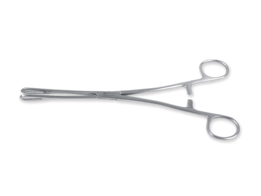 Pinze Rampley rette 18 cm