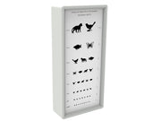 Ottotipo luminoso - animali - 1 pz.