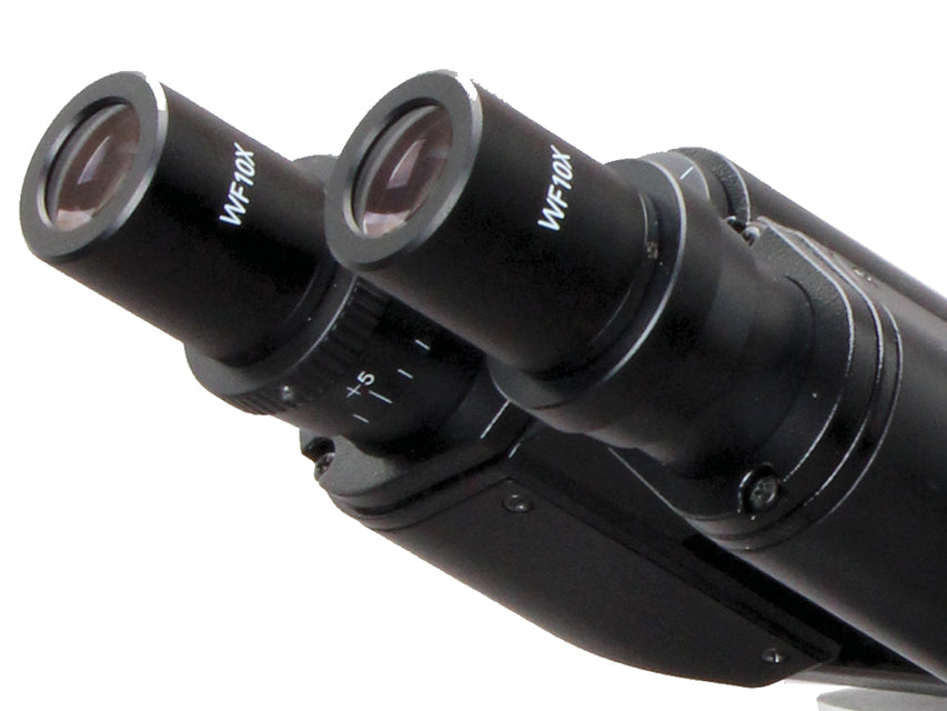 Microscopio biologico LED - da 40X a 1.600X