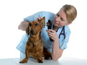 Videotoscopio md scope veterinaria - con 3 sonde - 1 pz.