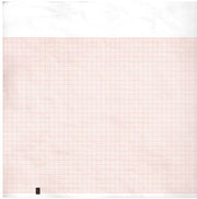 Kompatibles Thermopapier für ECG Mortara Eli 210, 250 und 350 - 210 x 300 mm - 1 Packung mit 250 Blättern