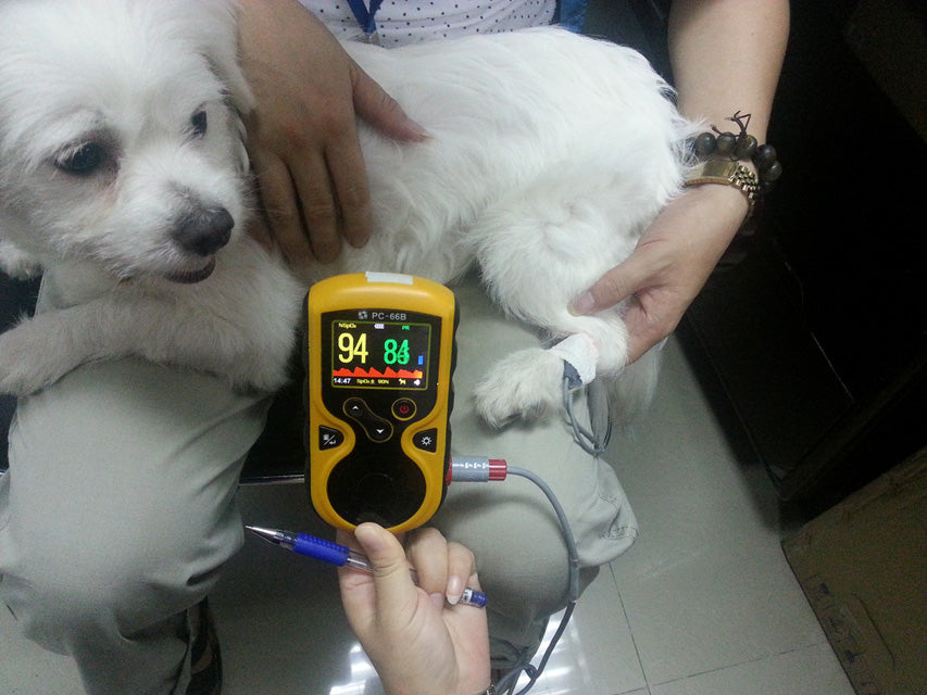 Pulsoximetro oxy-100 veterinaria - 1 pz.