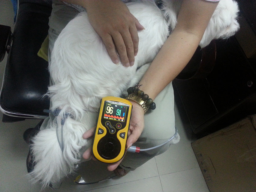 Pulsoximetro oxy-100 veterinaria - 1 pz.