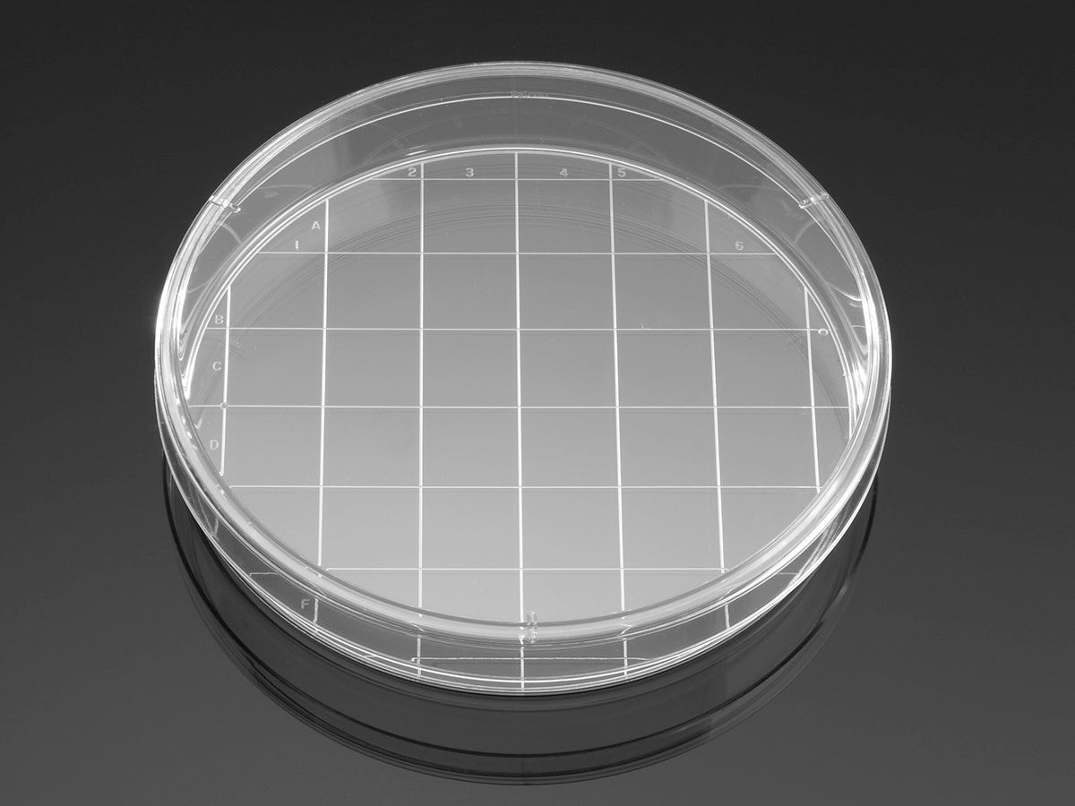 Falcon® 150 mm Piastra per coltura cellulare trattata con TC con griglia da 20 mm, 10/confezione, 100/scatola, sterile confezione 100 pz.