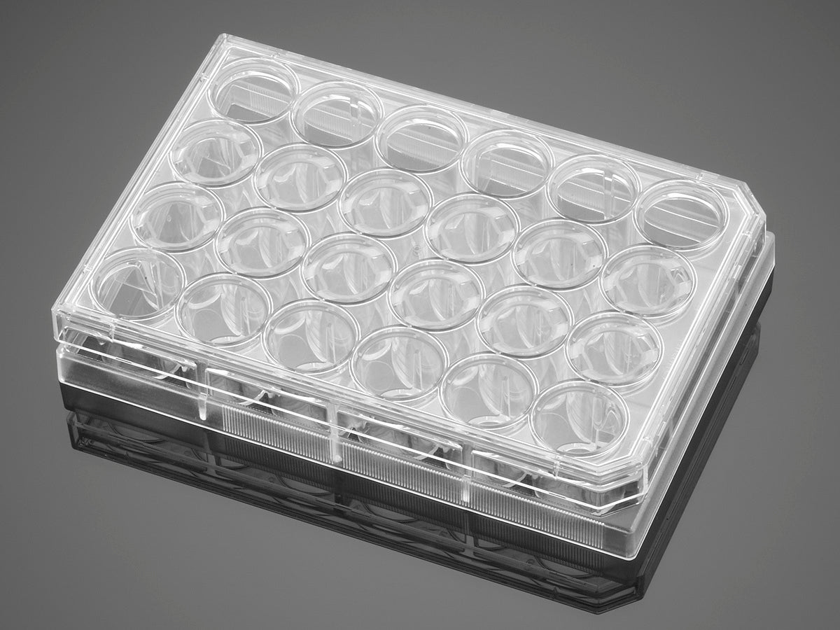 Piastra per Coltura Cellulare Multipozzetto Falcon® - 24 Pozzetti, Trattata con TC, con Coperchio, Sterile - Confezione da 50