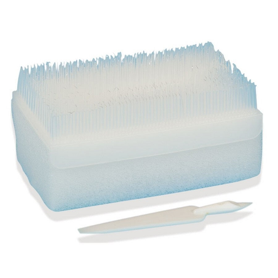 Kit spazzola clorexidina con dispenser da 30 pz  Conf. 30 pz pack multilingue