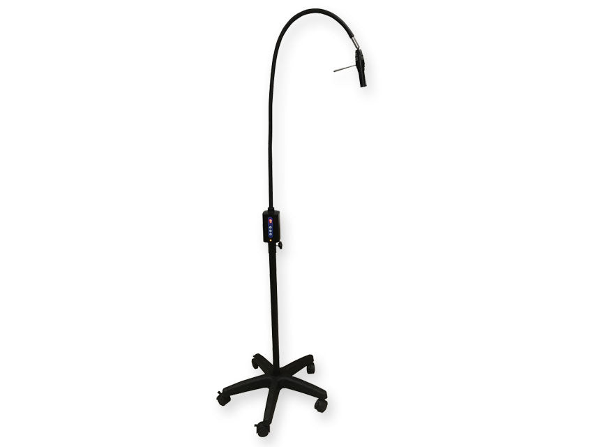 Spot-LED-Lampe - auf Wagen