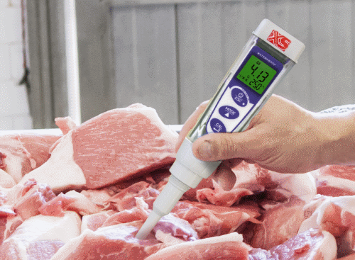 Phmetro portatile ph 5 Food per alimenti