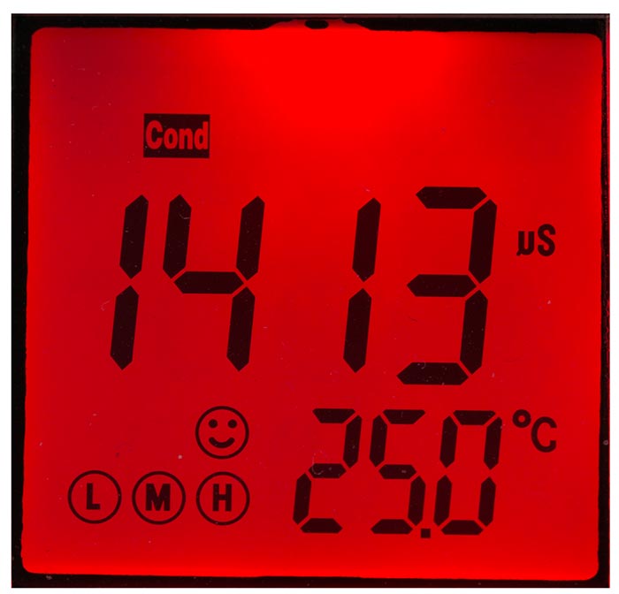Phmetro portatile ph 5 Food per alimenti