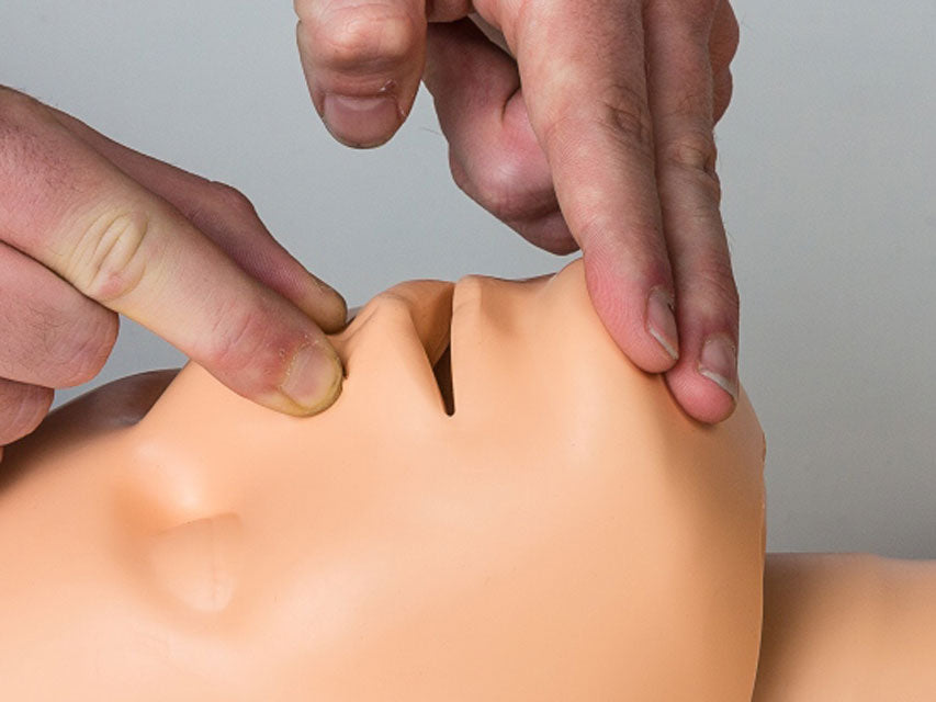 Manichini per corsi di addestramento RCP - Practi-Man Advance