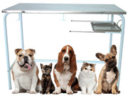 Mesa de exploración veterinaria