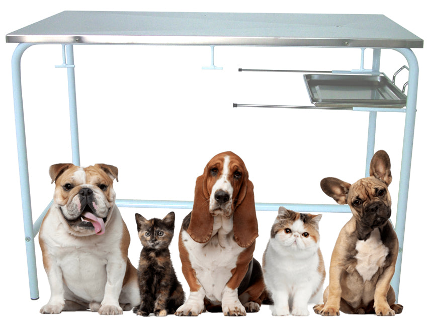 Tavolo da Visita Veterinaria
