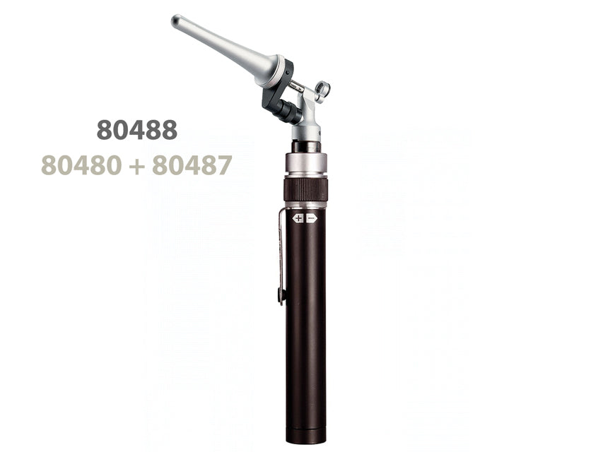 Caricatore Plug-In Riester Con Batteria Li-Ion 3,5 V Ri-Accu L - 10642 - 1 Pz.