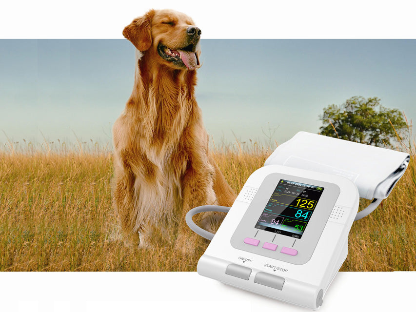 Sfigmomanometro veterinario - Misuratore di pressione per animali