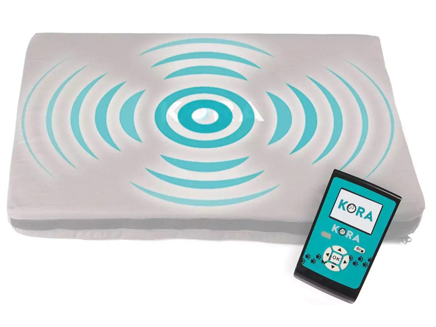 Magnetoterapia Veterinaria Kora - Kit Base - 1 Pz.