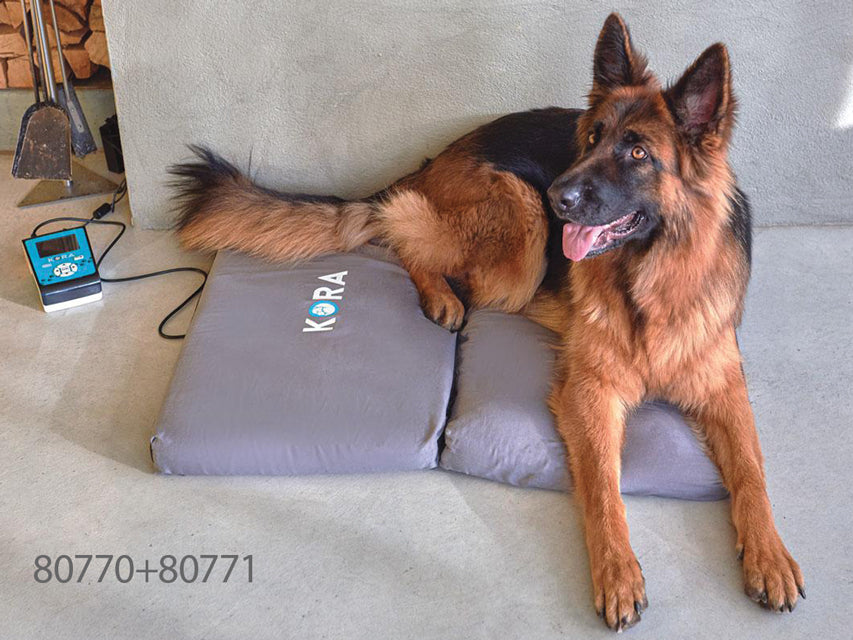 Materasso Veterinario Kora 64X40 Cm - Ricambio - 1 Pz.