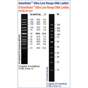 GeneRuler DNA ladder
Thermo Scientific 100 bp DNA Ladder