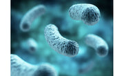 Medio selectivo para Legionella spp. - Solución avanzada para una detección segura 20 placas de 90 mm