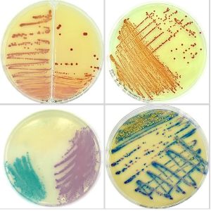 Chromatic Salmonella conf.20 piastre da 90 mm