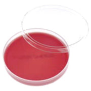 Gardnerella Vaginalis +5% CF/20
