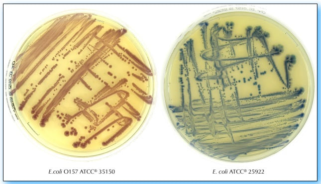 Chromatic  E.coli O157 - Piastre da 90 mm pronte all’uso - Conf.20 pz.