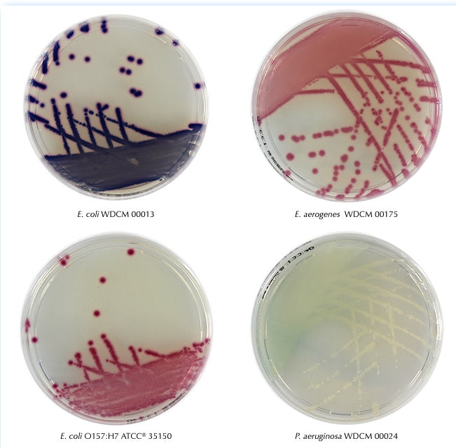 Terreni di coltura per microbiologia cosmetica