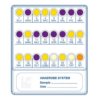 LIOFILCHEM Anaerobe System - Sistema per l’identificazione dei microrganismi anaerobi